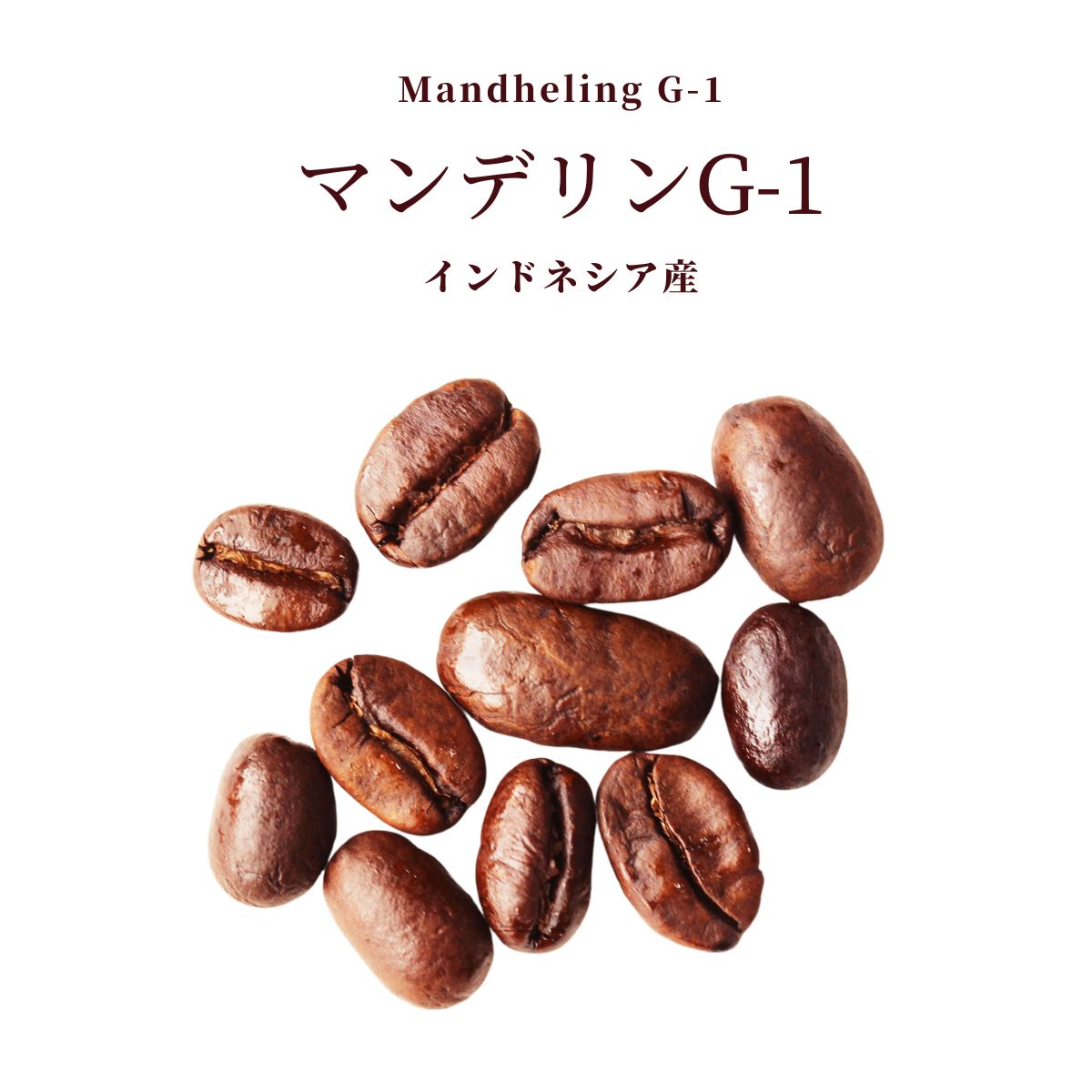 マンデリンG-1　4kg（400ｇを10袋）飲料・酒