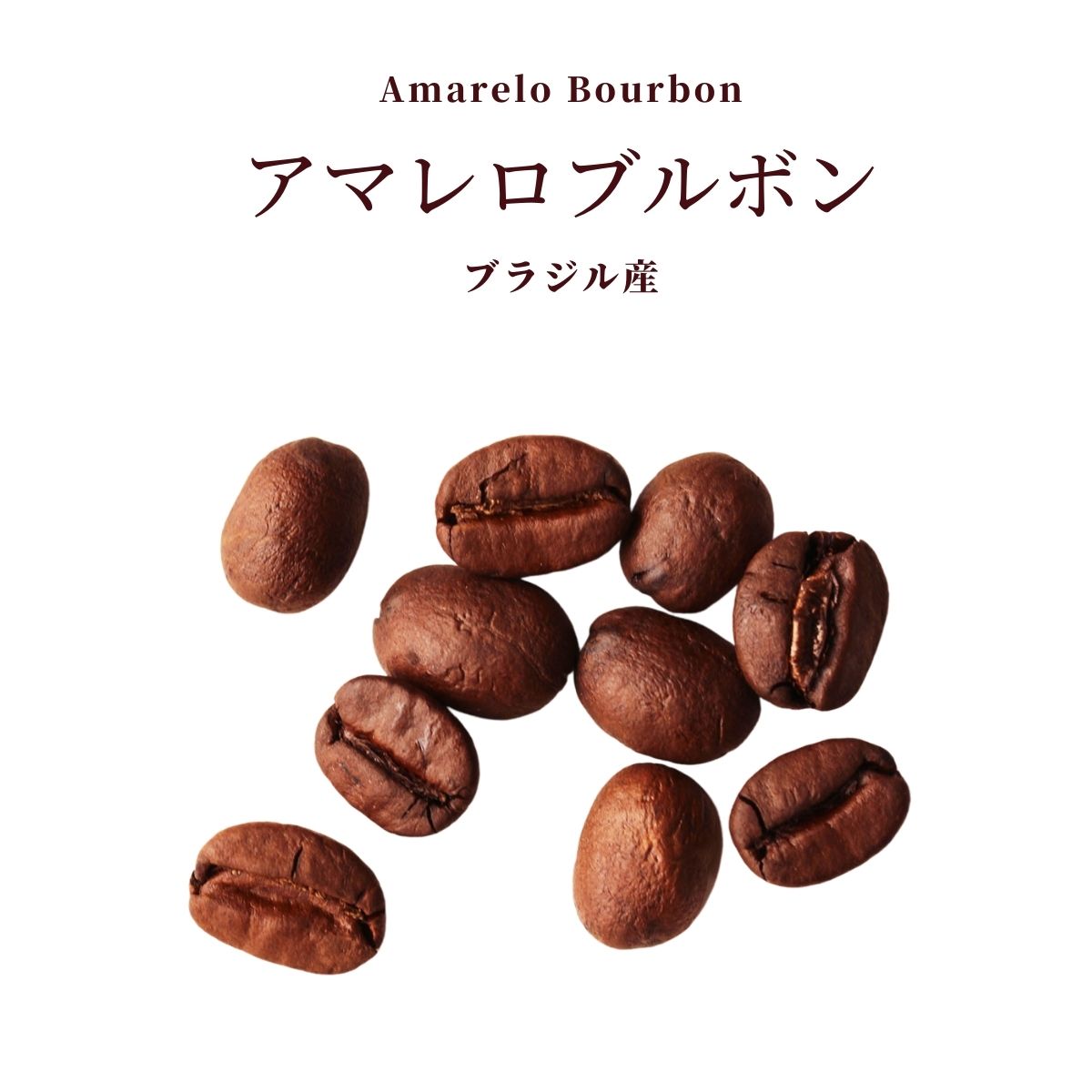 春だッ！自家焙煎 コーヒー豆 アマレロブルボン 喋れ