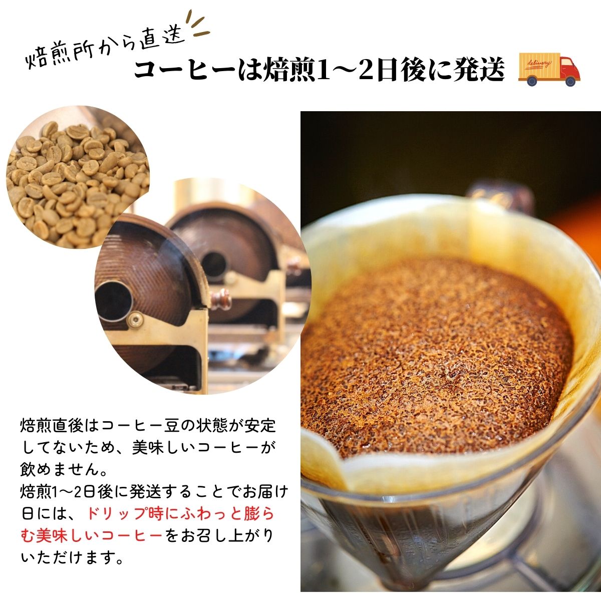 コーヒー豆 定番お試しセット 100g×2袋