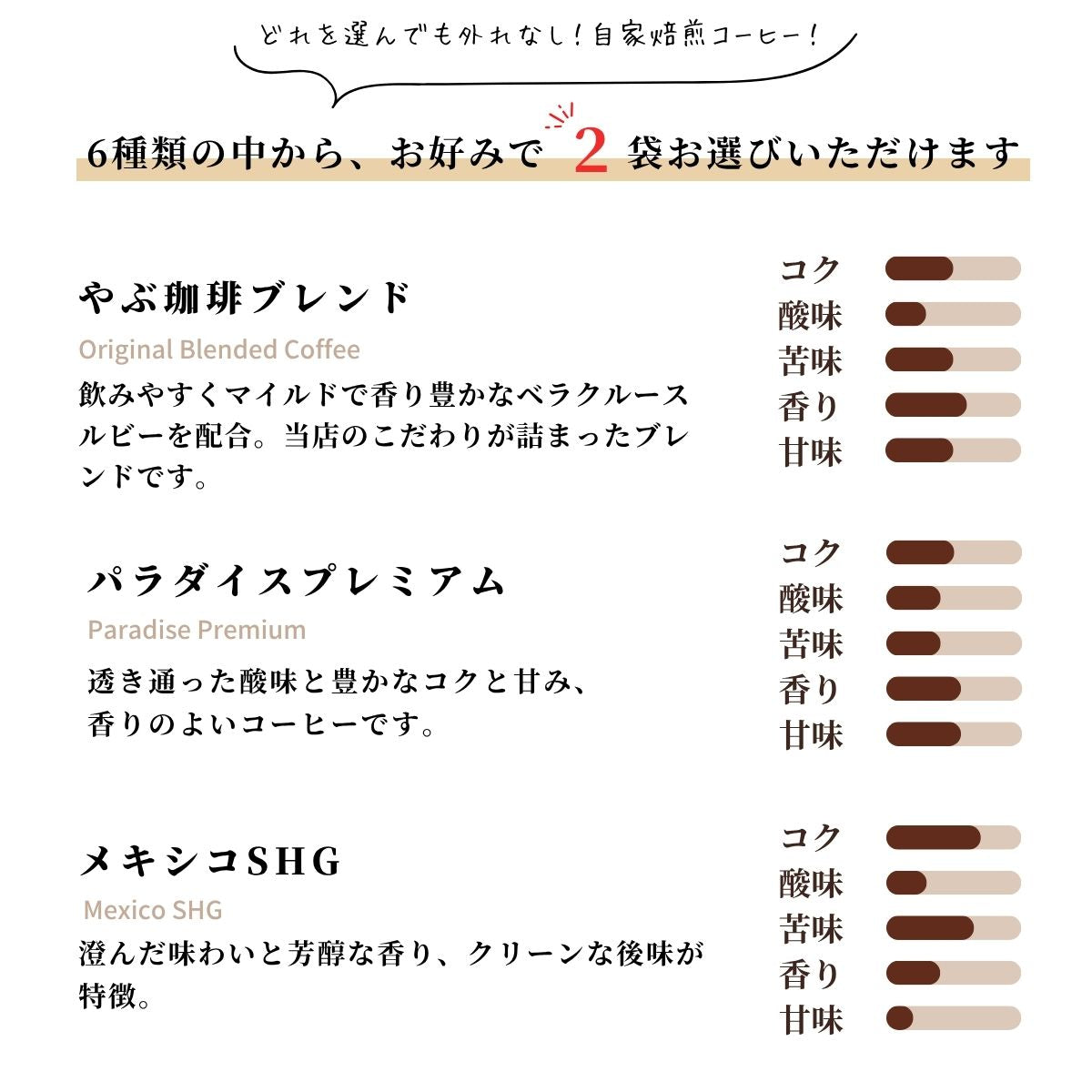コーヒー豆 ハイグレード お試しセット 100g×2袋 2025 – 珈琲豆専門店