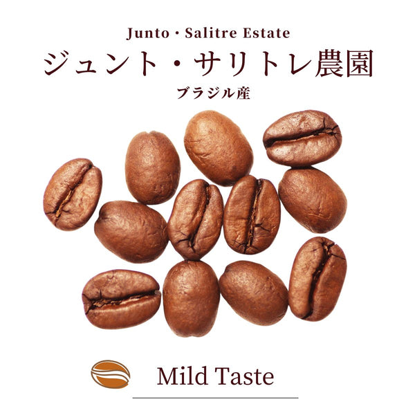 期間限定 ジュント・サリトレ農園（ブラジル）