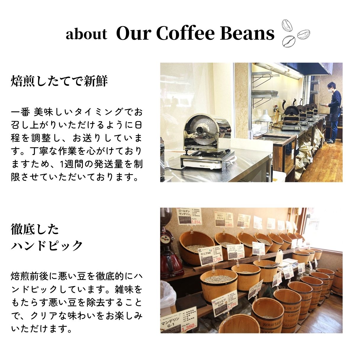 グアテマラSHB カフェインレス（グアテマラ産） – 珈琲豆専門店やぶ珈琲