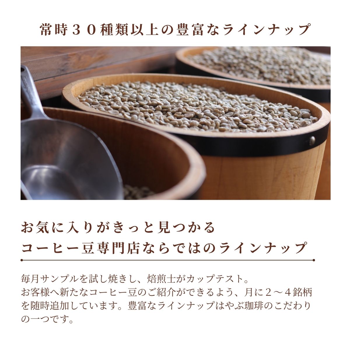 コーヒー豆 ハイグレード お試しセット 100g×2袋 2025 – 珈琲豆専門店