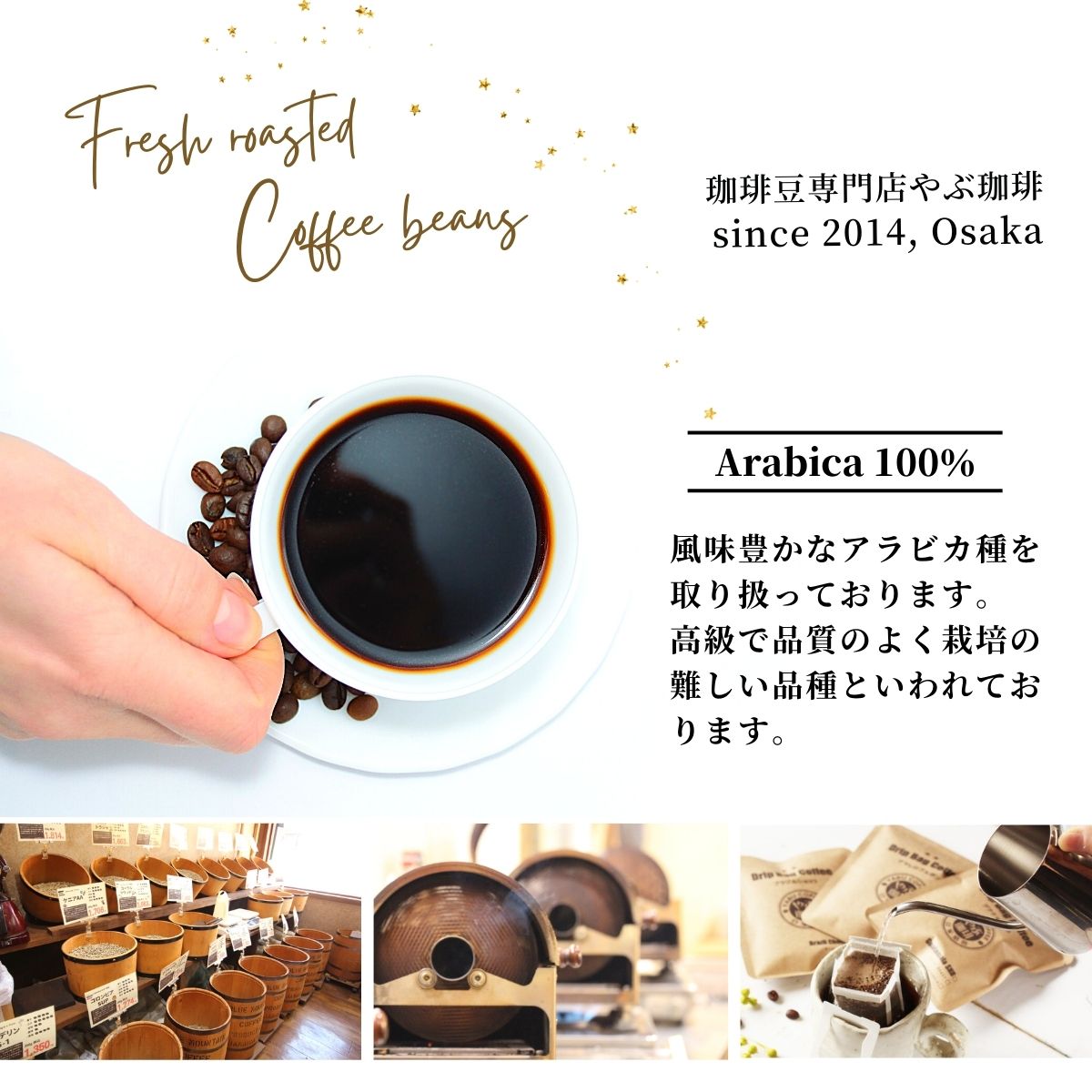 コーヒー豆 定番お試しセット 100g×2袋 – 珈琲豆専門店やぶ珈琲
